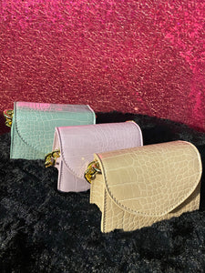 “Money Bag$” Mini Purses